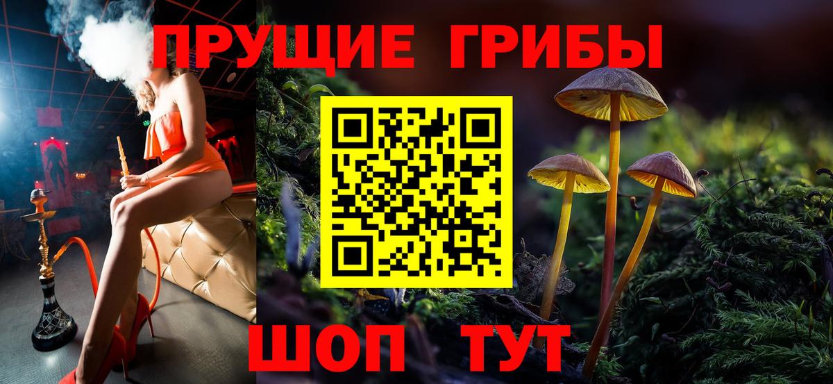 Галлюциногенные грибы Psilocybe Похвистнево